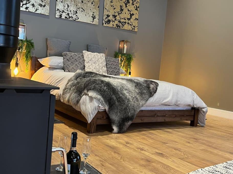 Willa Quirky, Luxury Hideaway Llanbrynmair Zewnętrze zdjęcie