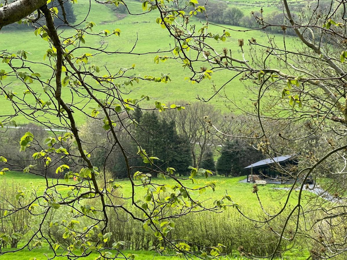 Willa Quirky, Luxury Hideaway Llanbrynmair Zewnętrze zdjęcie